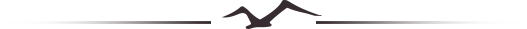 飛燕分割線.png 飛燕分割線.png
