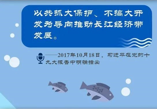 長江大保護 飛燕在行動丨飛燕遙感深度參與長江經濟帶生態環境保護